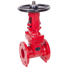 Image of 205UCNY UL/FM Flanged Ductile Iron Gate Valve - OS&Y - Chicago / NYC Body Spec
